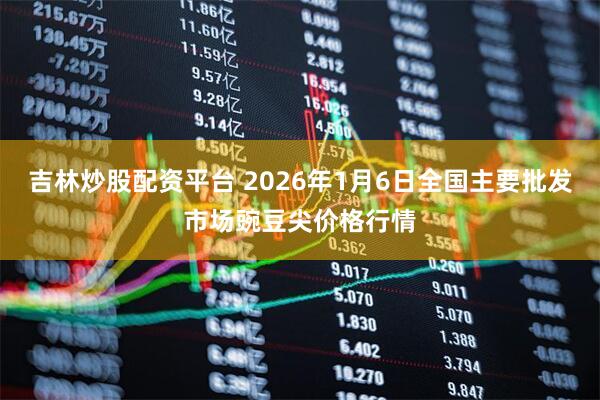吉林炒股配资平台 2026年1月6日全国主要批发市场豌豆尖价格行情